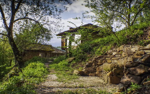 Karashka: Végétation, Paysage Naturel, La Nature, Vert, Arbre, Maison, Mur, Mur De Pierre, Zone Rurale, Roche