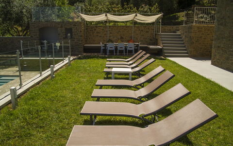 Villa Degli Ulivi: Herbe, Pelouse, Jardin, Architecture, Botanique, Arrière-Cour, Cour, Maison, Conception, Aménagement Paysager