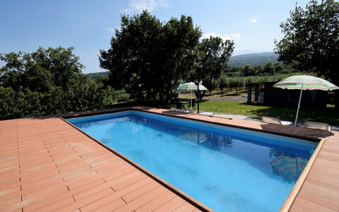 Serena: Piscine, Propriété, Immobilier, Loisir, Maison, Domicile, Arrière-Cour, Herbe, Arbre, Bâtiment