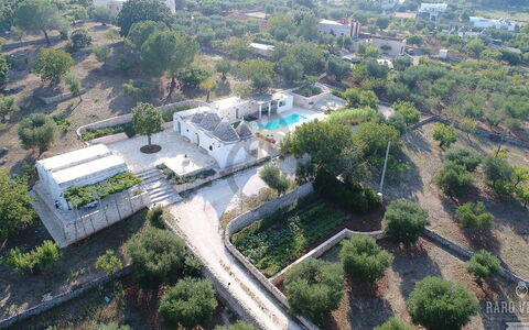 Trullo Oak: Plante, Jour, Bâtiment, Arbre, Design Urbain, Lot Terre, Quartier, Zone Résidentielle, Paysage, Immobilier