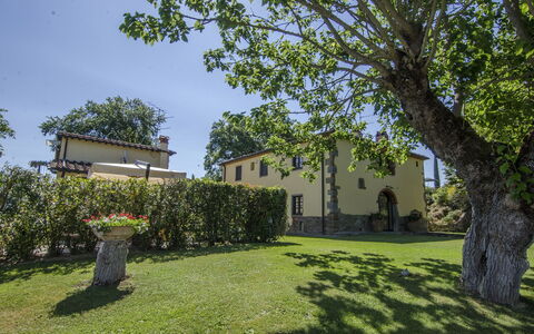 Villa Del Monte: Propriété, Arbre, Maison, Immobilier, Domicile, Herbe, Bâtiment, Biens, Suppression Des Plantes Ligneuses, Architecture