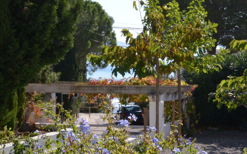 Llançà 381: Pont, Arbre, Jardin, Botanique, Plante, Printemps, Arbuste, Maison, Fleur, Zone Rurale