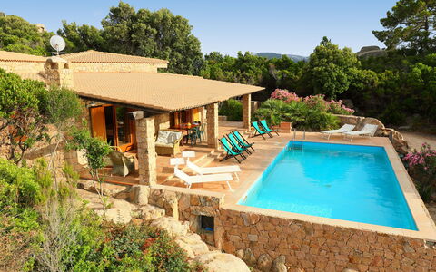 Petra Rossa: Propriété, Piscine, Maison, Immobilier, Biens, Domicile, Bâtiment, Arrière-Cour, Villa, Vacances