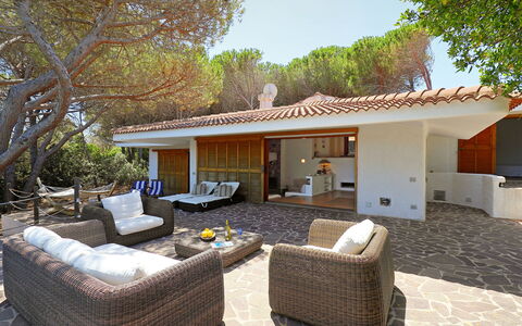 Audarya (Vgm610): Propriété, Maison, Domicile, Bâtiment, Immobilier, Arrière-Cour, Patio, Pièce, Biens, Design Intérieur