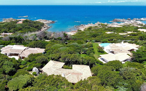 Terre Rare: Végétation, Mer, Ciel, Côte, Vacances, Botanique, Tourisme, Paysage, Arbre, Maison
