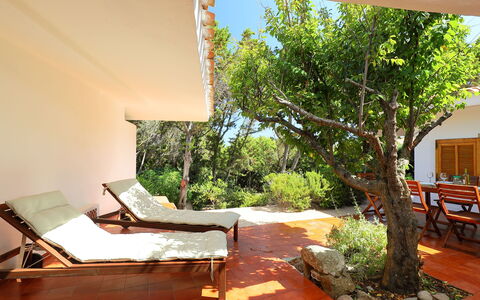 Terre Rare: Propriété, Pièce, Arbre, Maison, Bâtiment, Immobilier, Design Intérieur, Meubles, Plante D'Appartement, Domicile