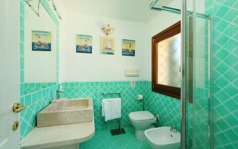 Iris: Salle De Bains, Pièce, Vert, Propriété, Turquoise, Design Intérieur, Bâtiment, Architecture, Tuile, Maison