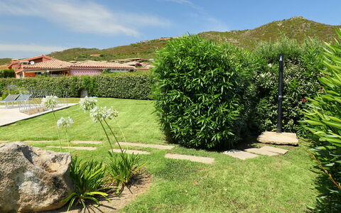 Iris: Herbe, Vert, Jardin, Végétation, Propriété, Paysage Naturel, Arbre, Arbuste, Famille Grass, Maison