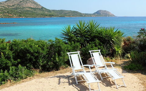 Tritone: Plage, Mer, Paysage Naturel, Vacances, Océan, Ciel, L'Eau, Tropiques, Côte, Été