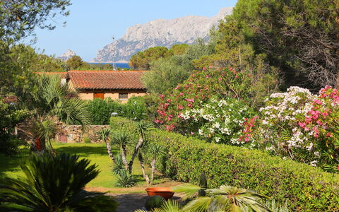 Dalila: Végétation, La Nature, Jardin, Propriété, Jardin Botanique, Paysage Naturel, Botanique, Immobilier, Maison, Arbre