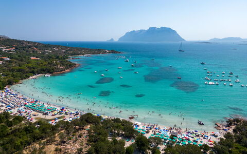Dalila: L'Eau, Ciel, Plante, Bleu Azur, Paysage Naturel, Plage, Arbre, Cotiers Et Relief Océaniques, Aqua