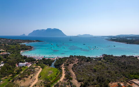 Dalila: L'Eau, Ciel, Ressources En Eau, Plante, Bleu Azur, Paysage Naturel, Végétation, Arbre, Paysage, Plage