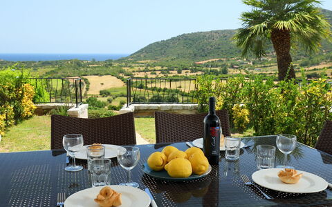 Panorama 2: Propriété, Table, Repas, Jaune, Petit Déjeuner, Vacances, Brunch, Recours, Meubles, Immobilier