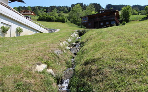 Wildbachl: Propriété, Paysage Naturel, Herbe, Maison, Zone Rurale, Lot Terre, Pâturage, Prairie, Chalet, Prairie