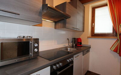 Logement:&nbsp;Tyrol 485.1