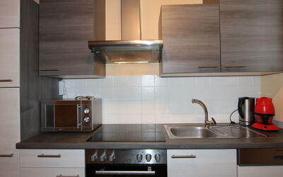 Logement:&nbsp;Tyrol 485.1