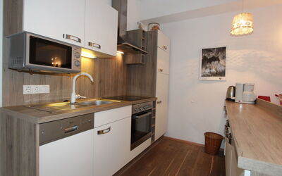 Logement:&nbsp;Tyrol 485.2