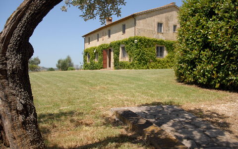 Podere San Giovanni: Ciel, Plante, Propriété, Bâtiment, Fenêtre, Paysage Naturel, Ombre, Arbre, Lot Terre, Lumière Du Soleil