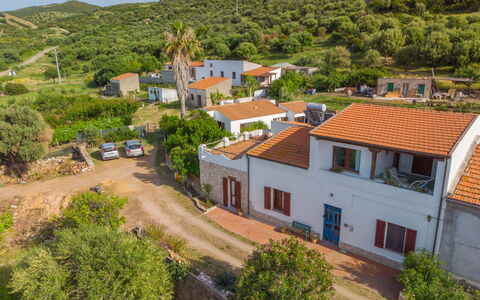 Sibilla: Plante, Bâtiment, Propriété, Fenêtre, Ciel, Arbre, Bleu Azur, Maison, Quartier, Zone Résidentielle