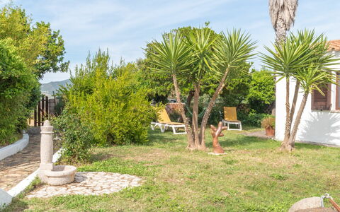 Sibilla: Ciel, Plante, Nuage, Communauté Des Plantes, La Nature, Végétation, Lot Terre, Arbre, Herbe, Biome