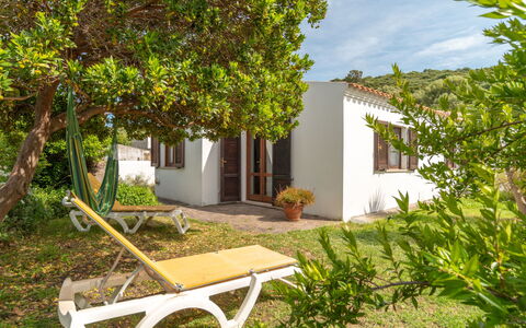 Sibilla: Plante, Bâtiment, Fenêtre, La Nature, Ombre, Extérieur Banc, Arbre, Maison, Mobilier De Jardin, Architecture