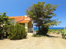 Logement:&nbsp;Ananas 3 B 740.3