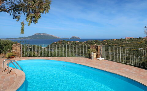 Gardenia: Piscine, Propriété, Immobilier, Recours, Bleu Azur, Loisir, Vacances, Biens, Bâtiment, Maison