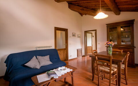 Logement:&nbsp;Oliveto