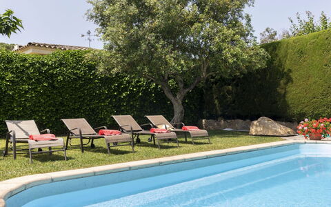 Origami: L'Eau, Plante, Ciel, Piscine, Vert, Botanique, Chaise, Ombre, Arbre, Mobilier De Jardin