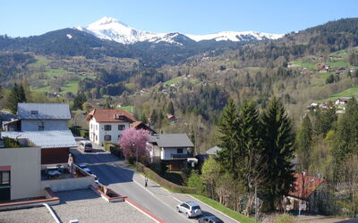 Fleurs des Alpes
