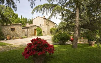 Panoramic view