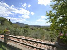 Panoramic view