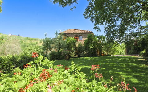 Villa Gioiosa: Vert, Arbuste, Été, Maison, Zone Rurale, Prairie, Lot Terre, Jardin, Prairie