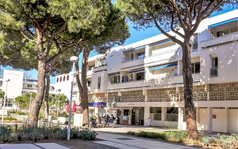 Logement:&nbsp;Antinéa 210.3
