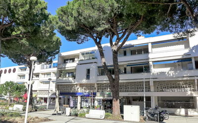 Logement:&nbsp;Antinéa 210.3