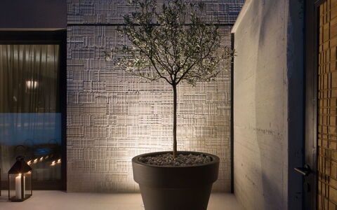 Oliva 1: Pot De Fleur, Lumière, Mur, Arbre, Éclairage, Architecture, Plante, Matériel De La Propriété, Plante D'Appartement, Design Intérieur