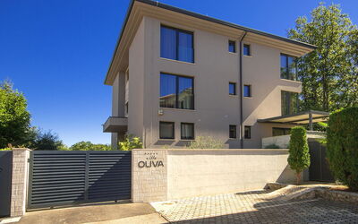 Oliva 2