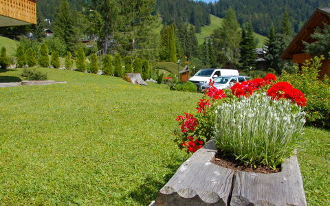 Aiguilles Dorées Iii 2: Plante, Fleur, Communauté Des Plantes, Montagne, Arbre, Ciel, Nuage, Feuille, Voiture, Paysage Naturel