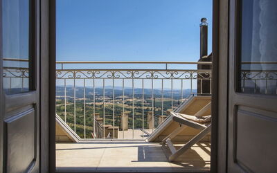 Agave
