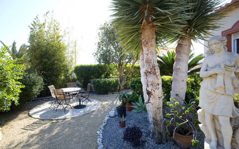 Villa Albert: Propriété, Arbre, Maison, Immobilier, Jardin, Cour, Arrière-Cour, Plante, Palmier, Domicile
