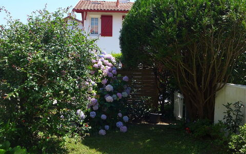 Le Fronton: Propriété, Maison, Arbuste, Jardin, Plante, Arbre, Chalet, Cour, Domicile, Immobilier