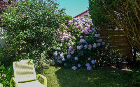 Le Fronton: Plante, Fleur, Communauté Des Plantes, Ciel, Botanique, Bâtiment, Fenêtre, Maison, Herbe, Arbre