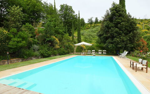 Paradiso: Piscine, Propriété, Loisir, Immobilier, Maison, Vacances, Herbe, Arbre, Biens, Recours