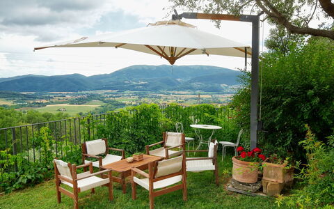 Paradiso: Parapluie, Propriété, Ombre, Meubles, Herbe, Table, Patio, Immobilier, Arbre, Bâtiment