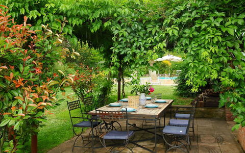 Paradiso: Jardin, Arbre, Patio, Arrière-Cour, Cour, Plante, Botanique, Table, Arbuste, Meubles