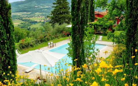 Paradiso: La Nature, Paysage Naturel, Wildflower, Herbe, Arbre, Jaune, Région Sauvage, Fleur, Botanique, Plante