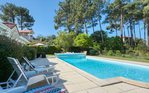 Eden Parc: L'Eau, Plante, Ciel, Propriété, Piscine, Chaise, Arbre, Mobilier De Jardin, Ombre, Herbe