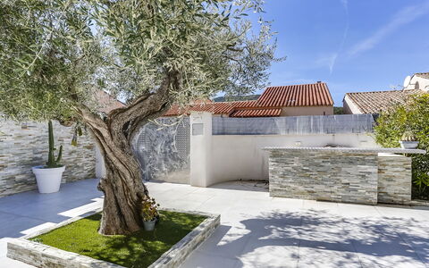 Les Vallons de la Gaillarde 1: Plante, Pot De Fleur, Bâtiment, Arbre, Ciel, Architecture, Herbe, Design Urbain, Zone Résidentielle, Immobilier
