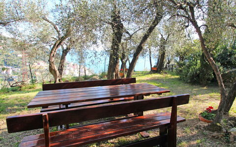 Italo: Extérieur Banc, Plante, Meubles, Table De Pique-Nique, Arbre, Bois, Mobilier De Jardin, Table, Ombre