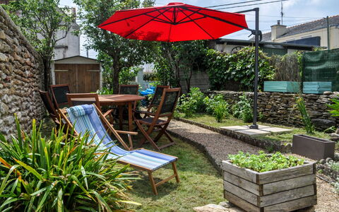 Les Figuiers: Plante, Communauté Des Plantes, La Nature, Feuille, Ciel, Parapluie, Ombre, Mobilier De Jardin, Chaise, Végétation
